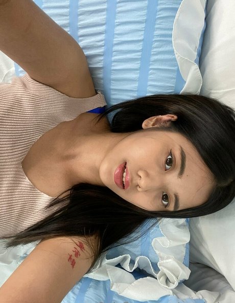 Sandydao