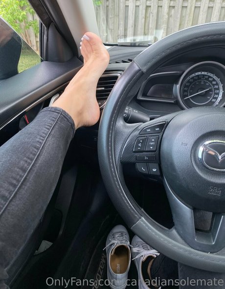 Canadiansolemate