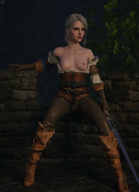 The Witcher