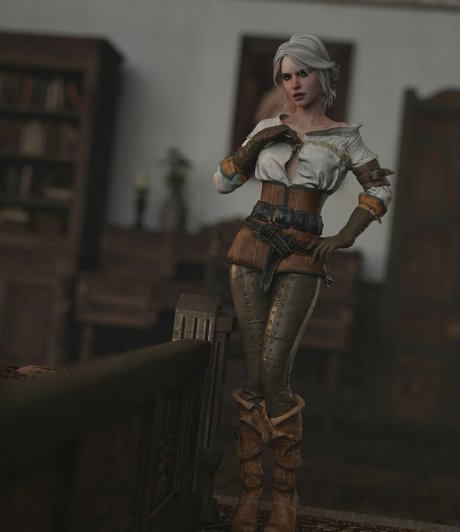 The Witcher