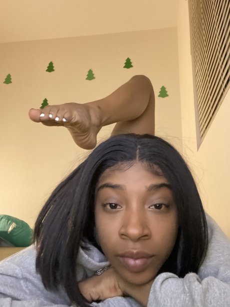 Jacara Mulatto