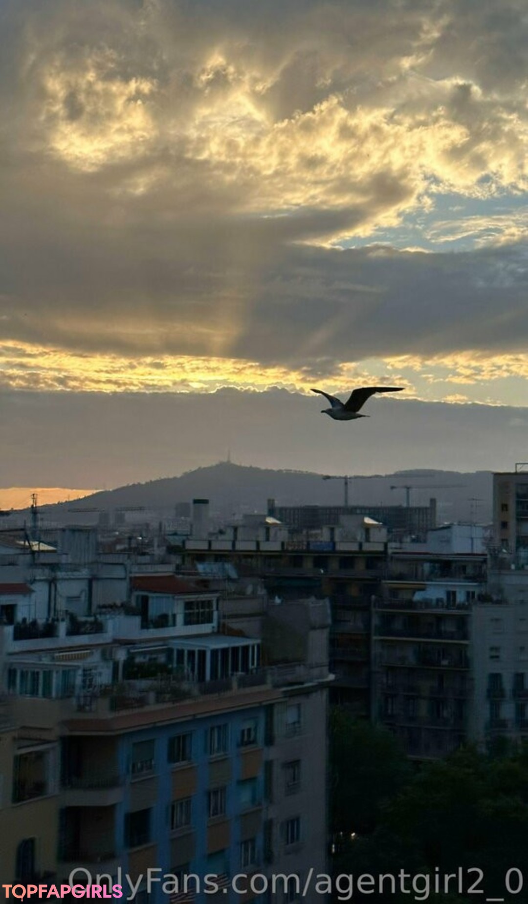 Photo nue de fuite OnlyFans de Agentgirl20 #143 Photo nue de fuite OnlyFans de Agentgirl20 #143