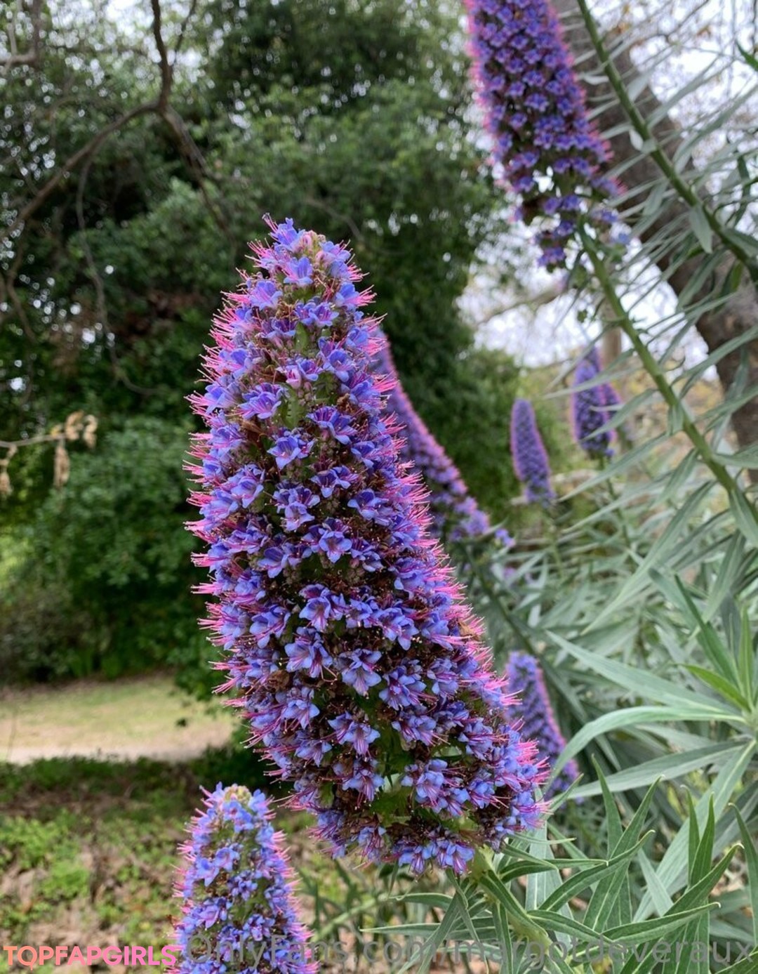 Photo nue de fuite OnlyFans de Margotdeveraux #53 Photo nue de fuite OnlyFans de Margotdeveraux #53