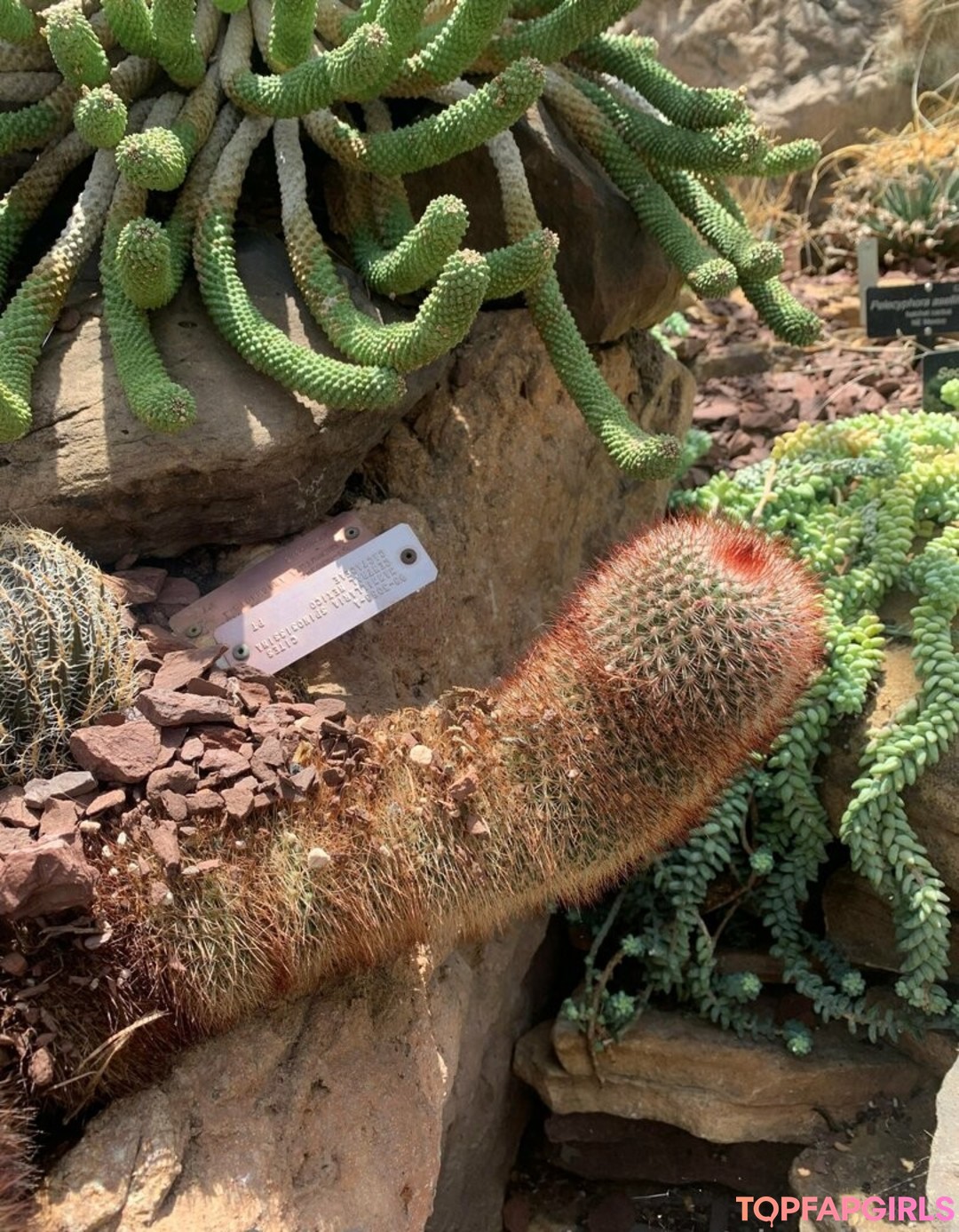 Photo nue de fuite OnlyFans de Margotdeveraux #69 Photo nue de fuite OnlyFans de Margotdeveraux #69