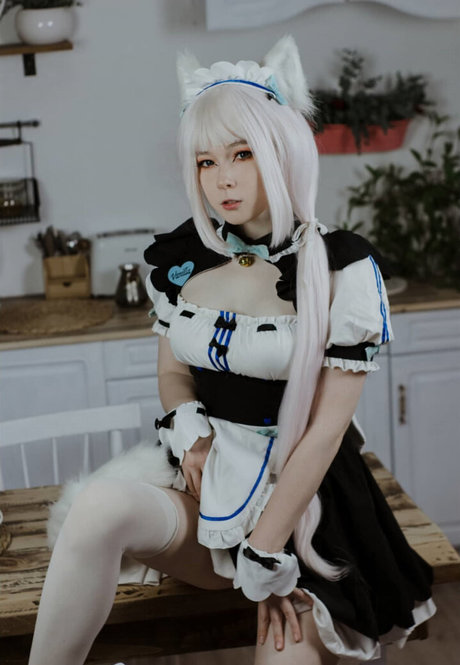 Visagefox
