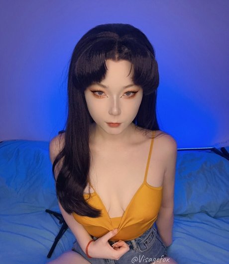 Visagefox
