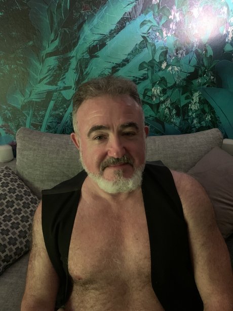 Silver Bear
