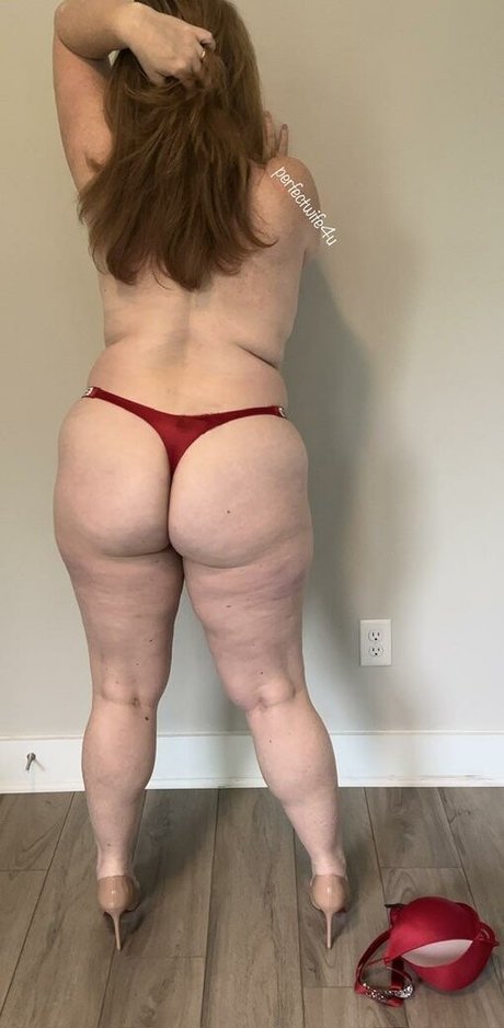 The Perfect Wife