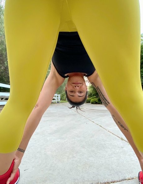 Thedanavespoli