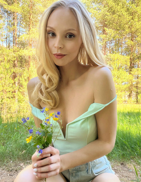 Nmvip