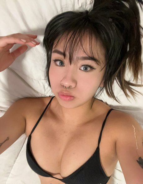 Freekittynobi