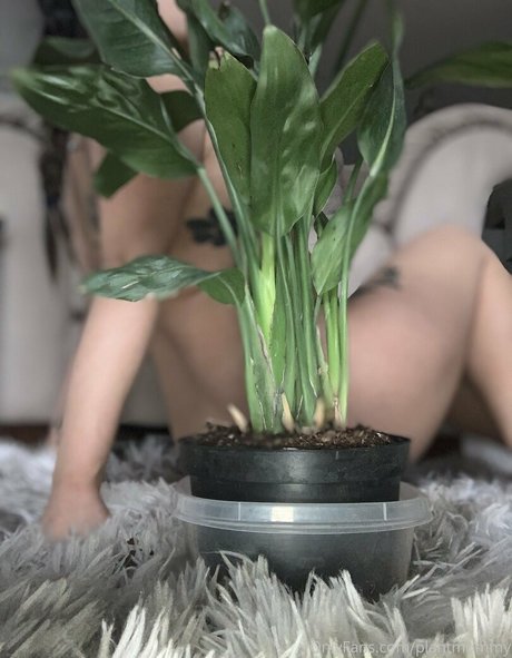Photo nue de fuite OnlyFans de Asiaasahi