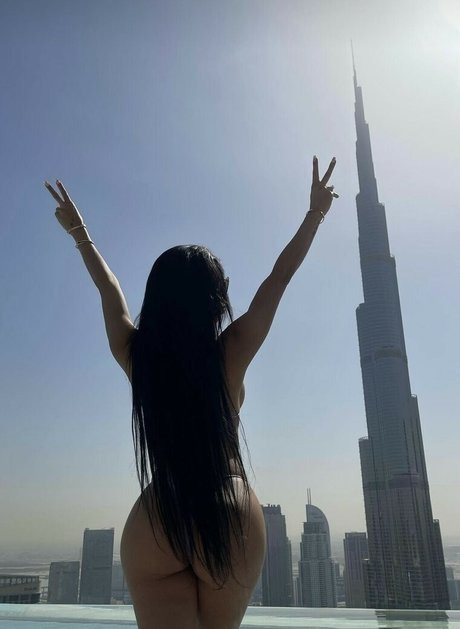 Lilveronicar