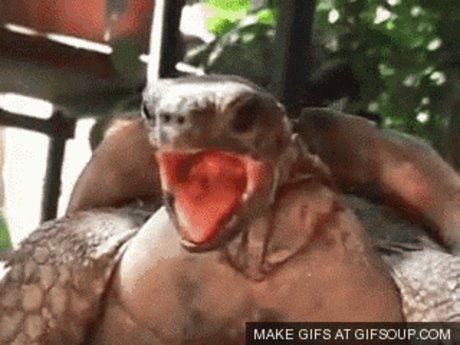 Chupacabra