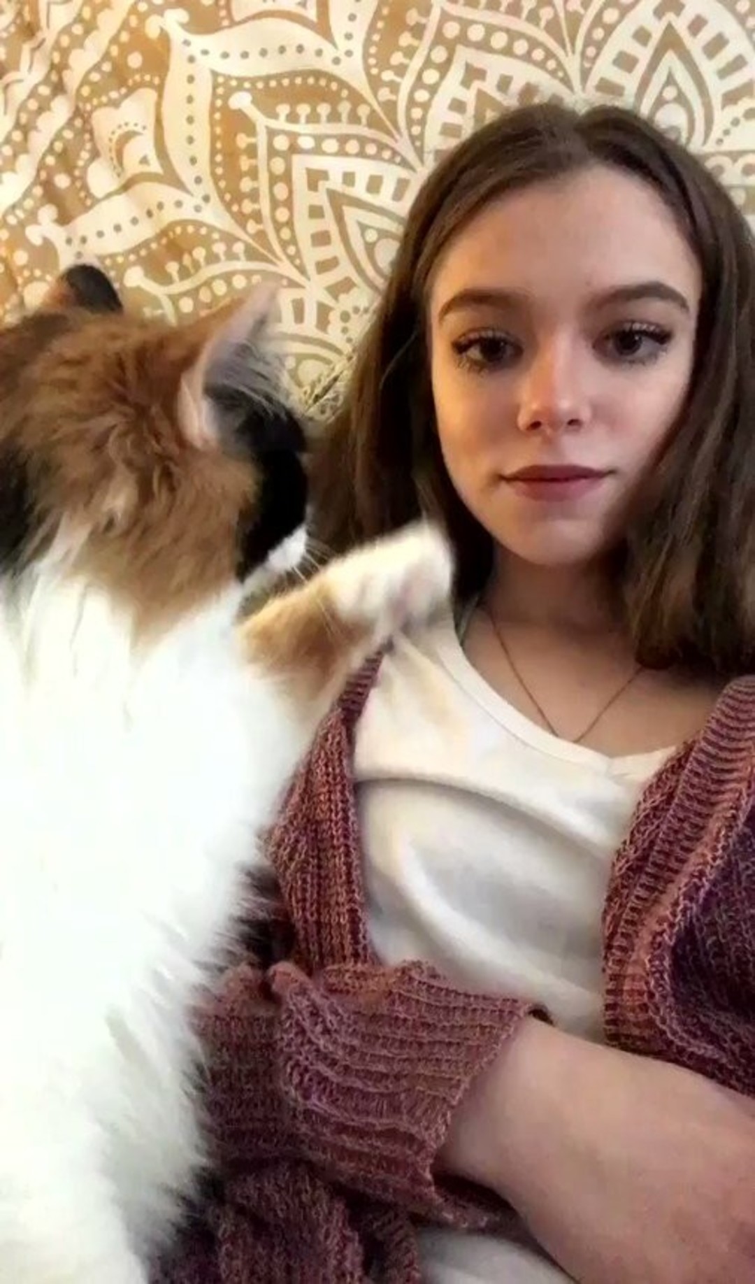 Photo nue de fuite OnlyFans de Rose Castella #61 Photo nue de fuite OnlyFans de Rose Castella #61