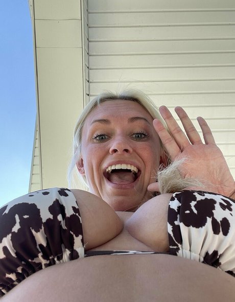 Maddyspremium