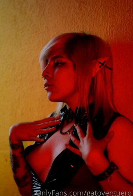 Gatoverguero