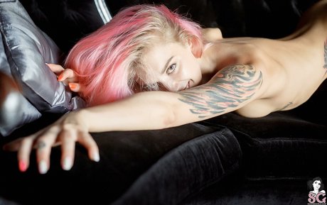 Pollypolly