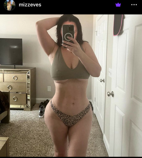 Mizzeves