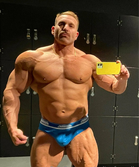 Cultofapollo