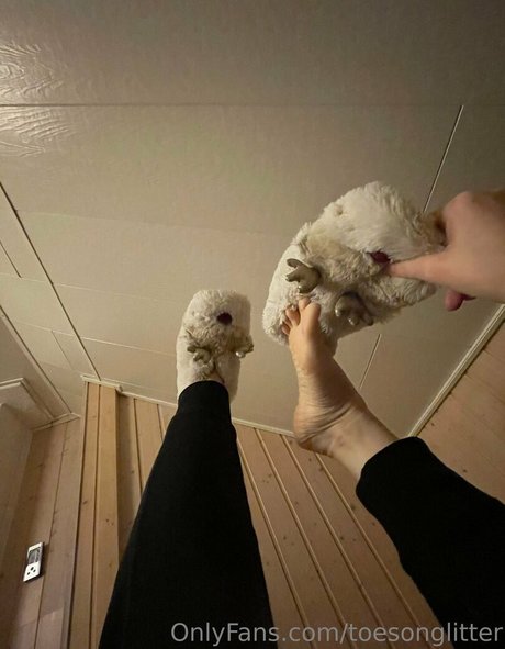 Toesonglitter