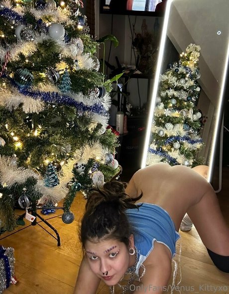 Venuskittyxo