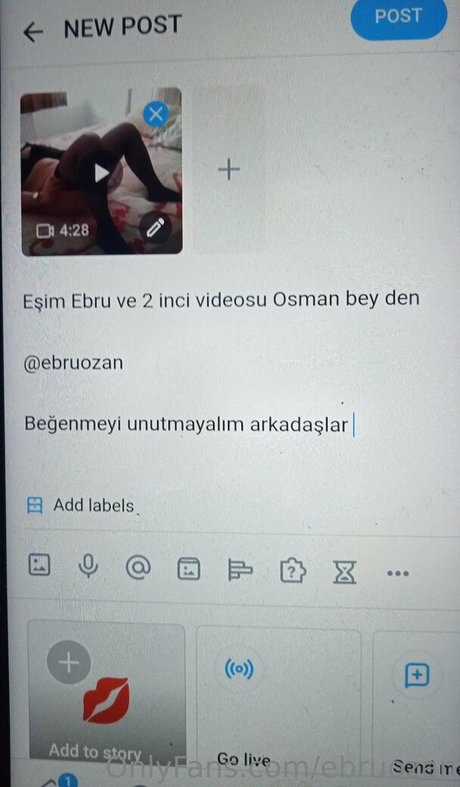 Ebruozan