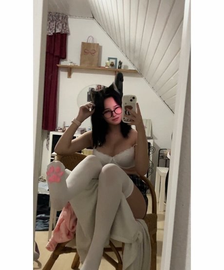 Jouerdis