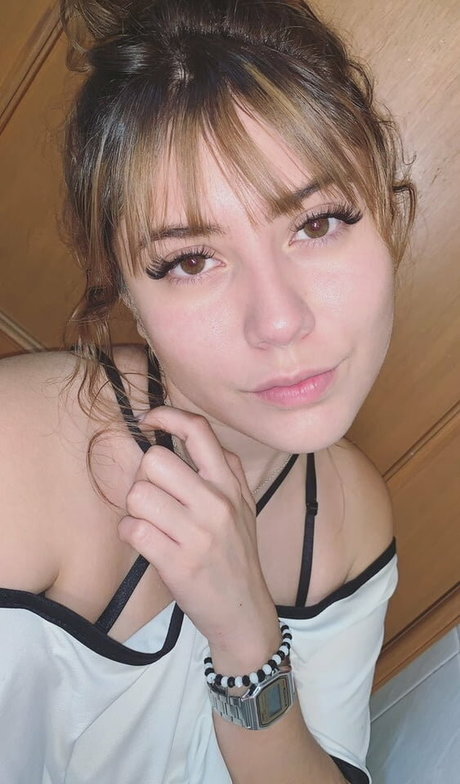 Vivi Alto