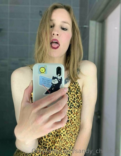 Sandy_cheek_s