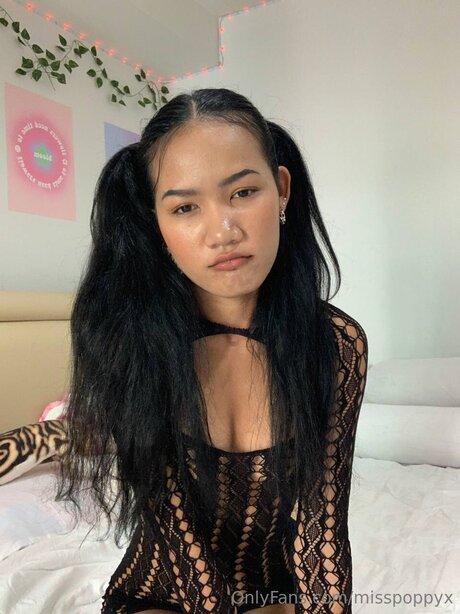 Misspoppyx