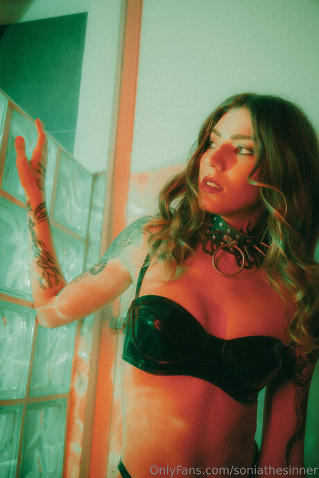 Soniathesinner