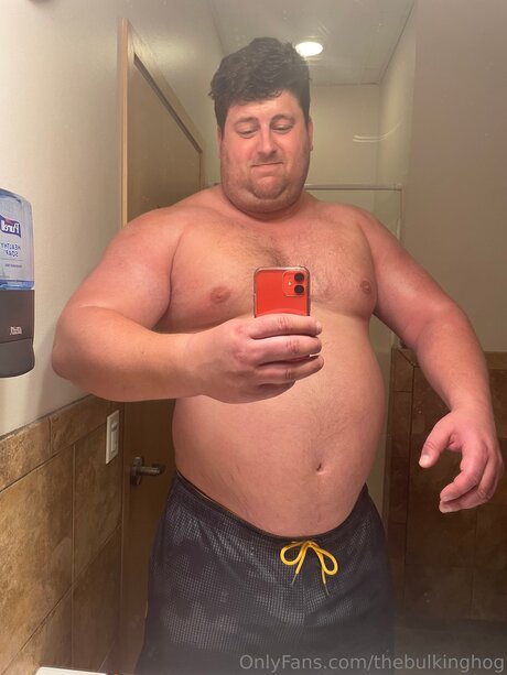 Thebulkinghog