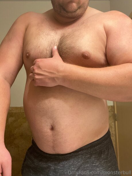 Thebulkinghog