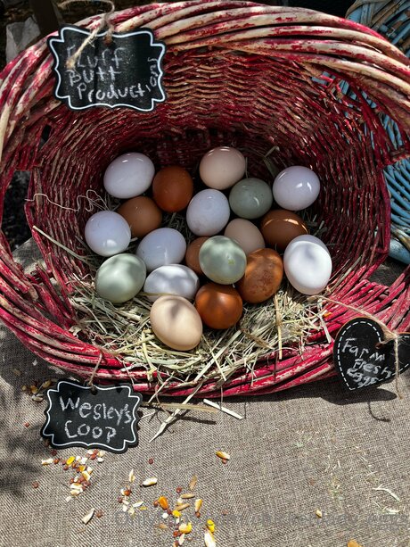Photo nue de fuite OnlyFans de Chickenlady Eggs