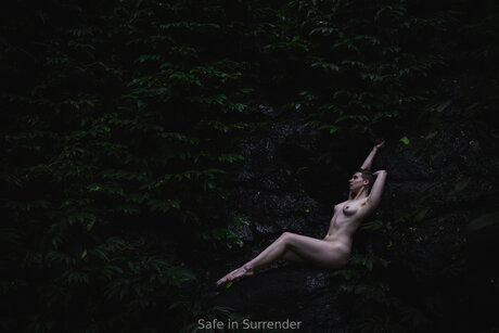 Safeinsurrender
