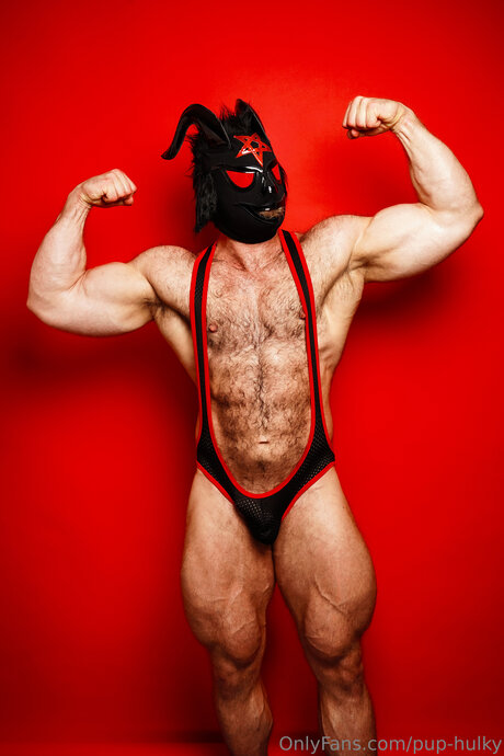Pup Hulky