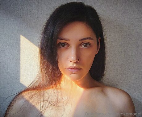 Evokemodel