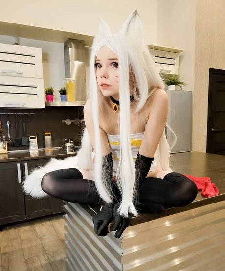 Caticornplay