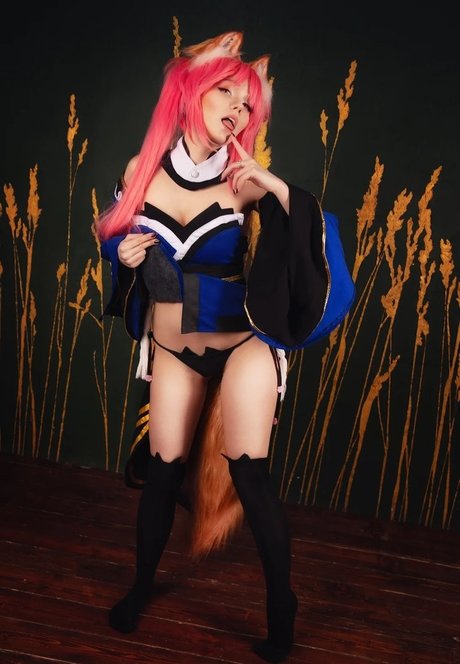 Caticornplay
