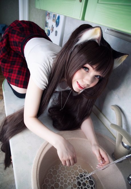 Caticornplay