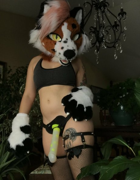 Fox_anatomy