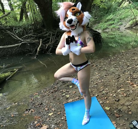 Foxanatomy