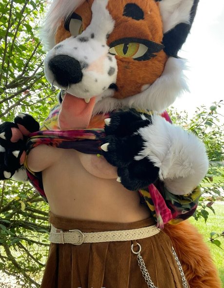 Fox_anatomy