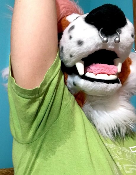Fox_anatomy