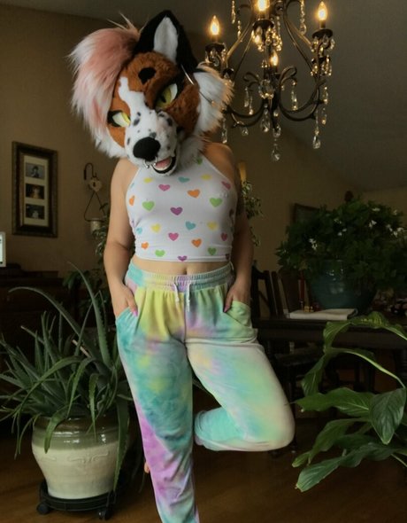 Fox_anatomy