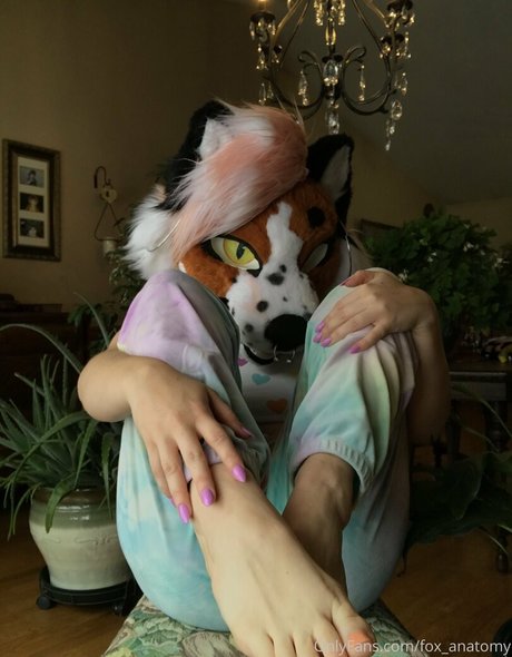 Foxanatomy