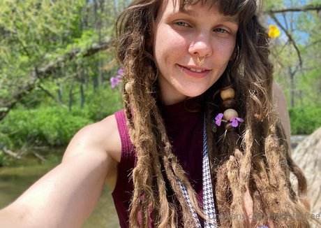 Lindssforfree