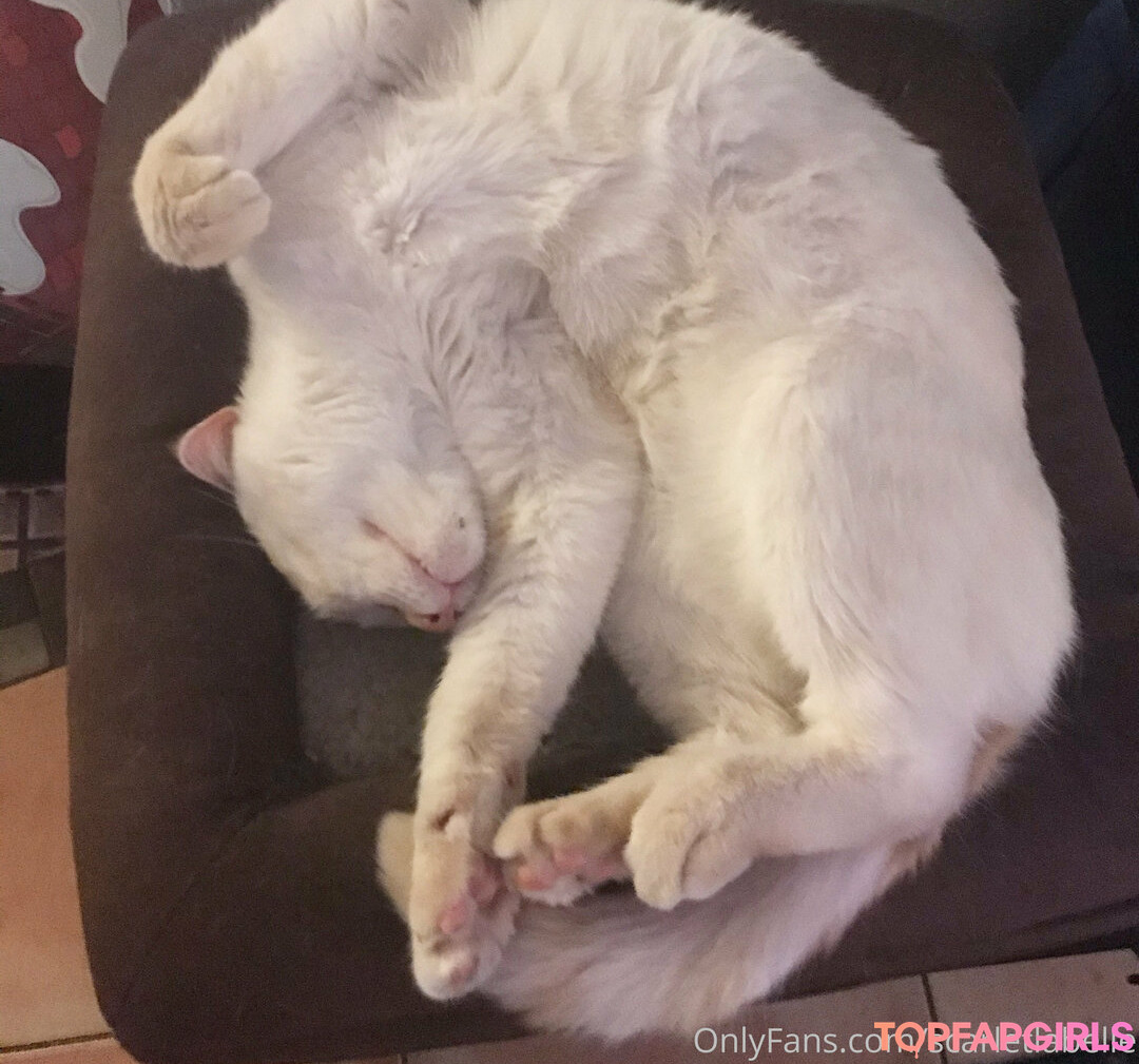 Photo nue de fuite OnlyFans de Scarletlabelle #9 Photo nue de fuite OnlyFans de Scarletlabelle #9