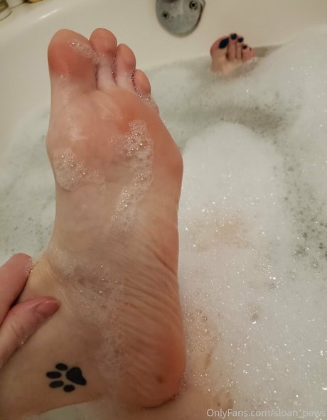 Sloan_paws